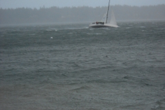 DSCN0194