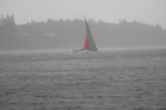 DSCN0202