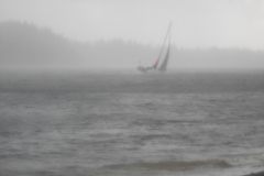 DSCN0203