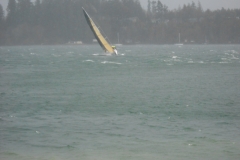 DSCN0204