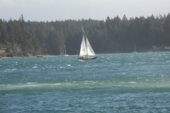 DSCN0228