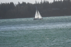 DSCN0230