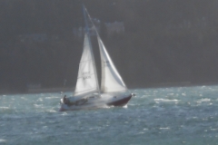 DSCN0231