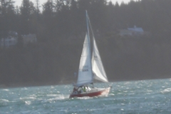 DSCN0232