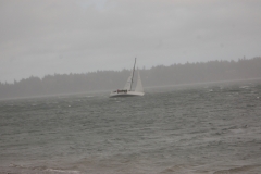 DSC_0801