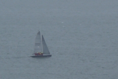 DSC06891