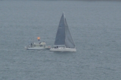 DSC06900