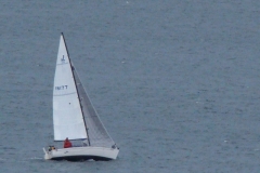 DSC06965
