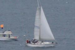 DSC06971
