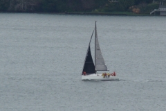 DSC06805