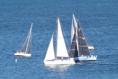 DSC07323