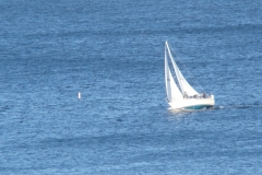 DSC07337