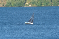 DSC07339