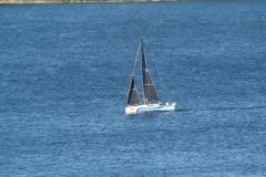 DSC07341